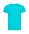 Camiseta classic
