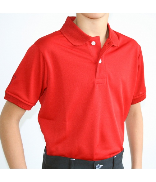 Polo dry swing bioactive classic